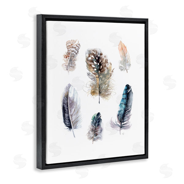 Stupell Industries Verbrugge Watercolor | Arrangement Of Feathers Soft Watercolor Bird Patterns Wall Art