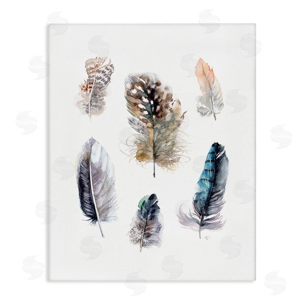 stupell industries Verbrugge Watercolor | Arrangement of Feathers Soft Watercolor Bird Patterns Wall Art