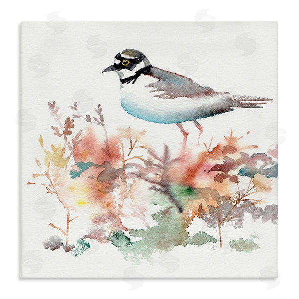 stupell industries Verbrugge Watercolor | Little Ringed Plover Bird in Country Wildflower Field Wall Art
