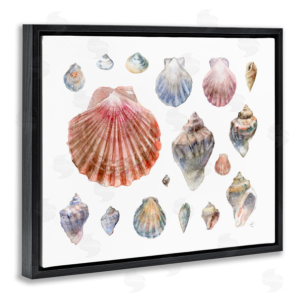 Stupell Industries Verbrugge Watercolor | Nautical Shell Watercolor Study Patterned Aquatic Life Wall Art