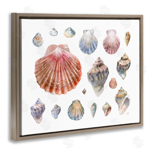 Stupell Industries Verbrugge Watercolor | Nautical Shell Watercolor Study Patterned Aquatic Life Wall Art