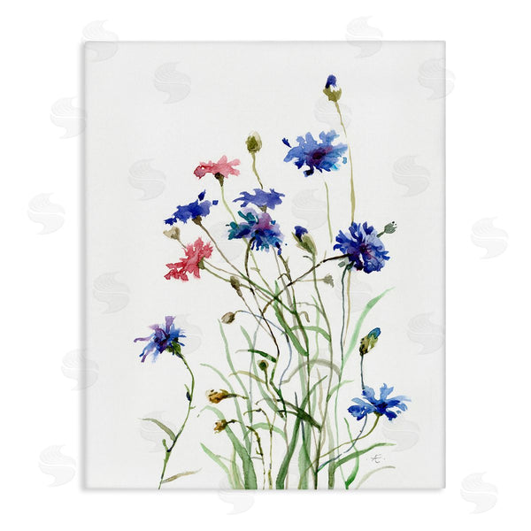 stupell industries Verbrugge Watercolor | Wild Cornflowers Spring Bloom Watercolor Blue Pink Wall Art