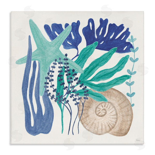 stupell industries Veronique Charron | Layered Coastal Shells