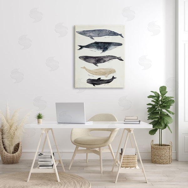 Stupell Industries Victoria Barnes | Antique Whale Chart Large Vintage Nautical Animals Wall Art