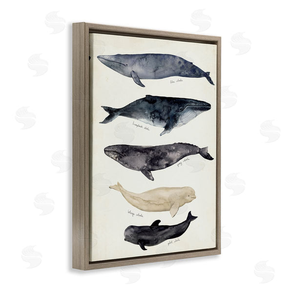Stupell Industries Victoria Barnes | Antique Whale Chart Large Vintage Nautical Animals Wall Art