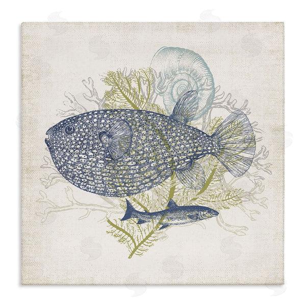 stupell industries Victoria Barnes | Aquatic Sea Life Rustic Seashell Layered Fish Wall Art