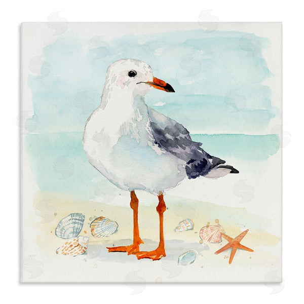 stupell industries Victoria Barnes | Coastal Seagull & Shells