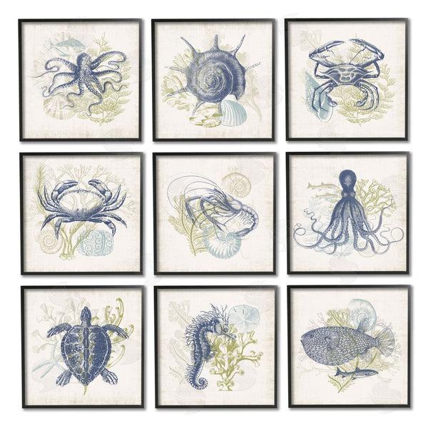 Stupell Industries Victoria Barnes | Detailed Marine Life Underwater Animals Wall Art