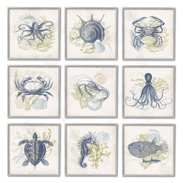 Stupell Industries Victoria Barnes | Detailed Marine Life Underwater Animals Wall Art