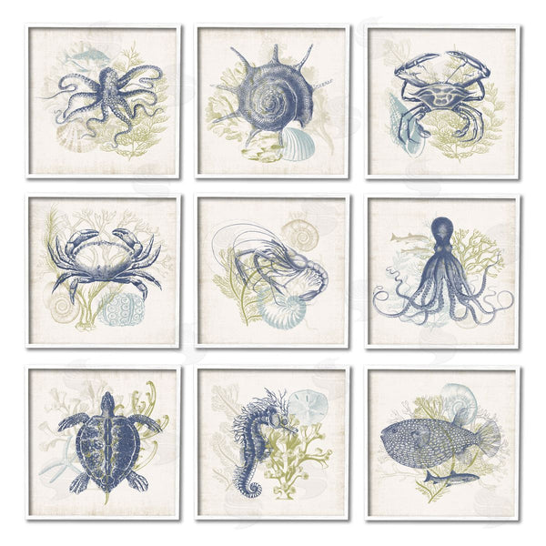 Stupell Industries Victoria Barnes | Detailed Marine Life Underwater Animals Wall Art