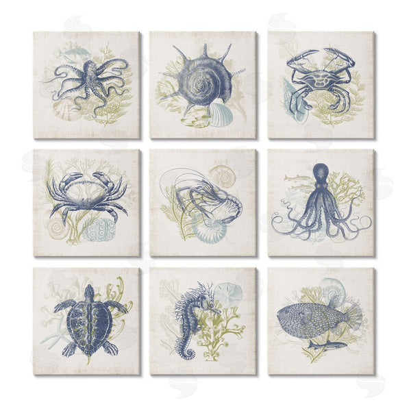 stupell industries Victoria Barnes | Detailed Marine Life Underwater Animals Wall Art