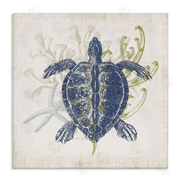 stupell industries Victoria Barnes | Detailed Sea Turtle Layered Coral Aquatic Life Wall Art