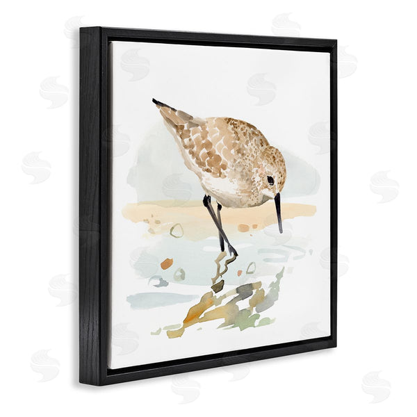 Stupell Industries Victoria Barnes | Grazing Sandpiper Shoreline