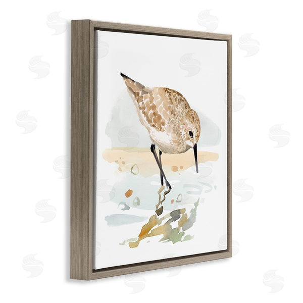 Stupell Industries Victoria Barnes | Grazing Sandpiper Shoreline