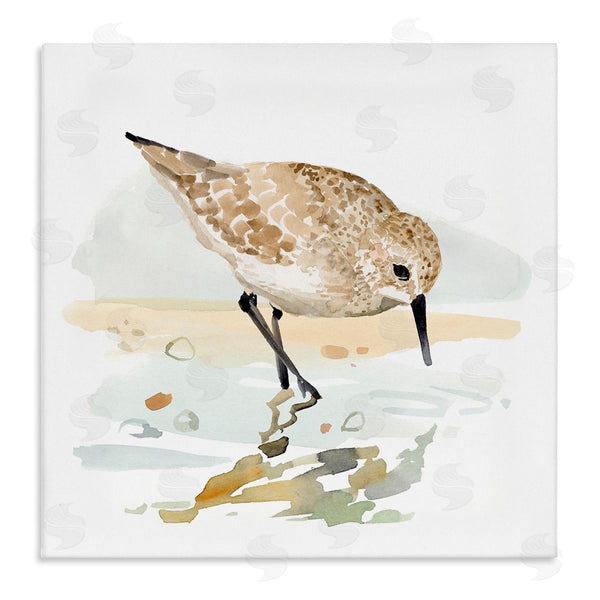 stupell industries Victoria Barnes | Grazing Sandpiper Shoreline