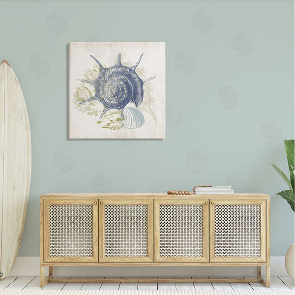 Stupell Industries Victoria Barnes | Intricate Conch Seashell Drawing Layered Coral Botanicals Wall Art