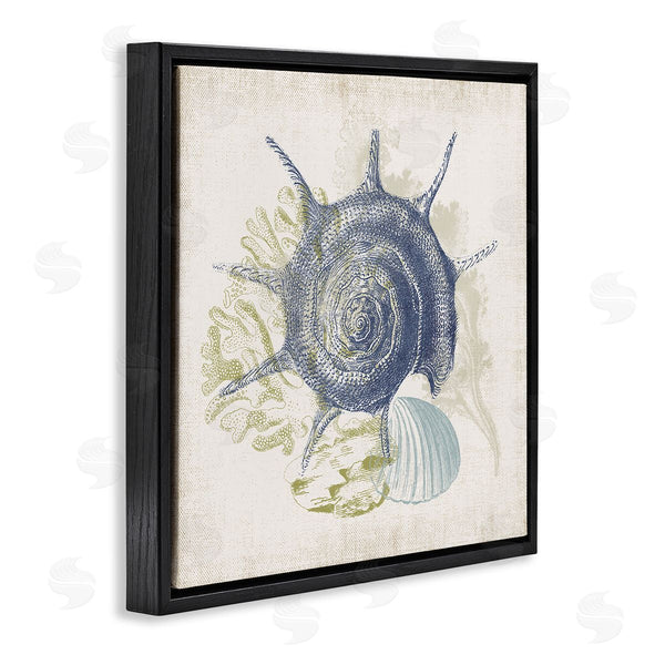 Stupell Industries Victoria Barnes | Intricate Conch Seashell Drawing Layered Coral Botanicals Wall Art