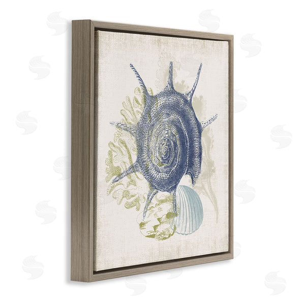 Stupell Industries Victoria Barnes | Intricate Conch Seashell Drawing Layered Coral Botanicals Wall Art