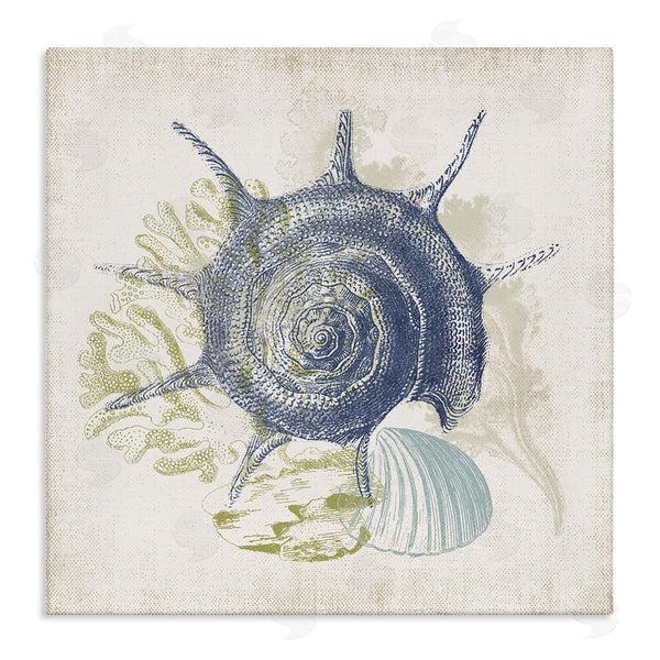 stupell industries Victoria Barnes | Intricate Conch Seashell Drawing Layered Coral Botanicals Wall Art