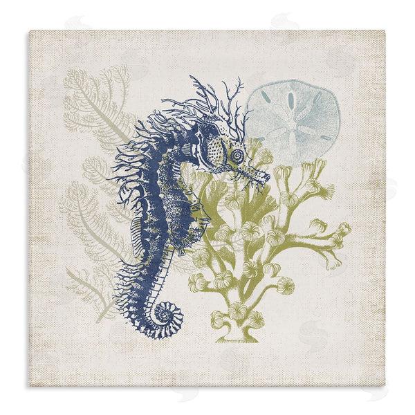 stupell industries Victoria Barnes | Intricate Seahorse Overlay Sand Dollar Coral Botanicals Wall Art
