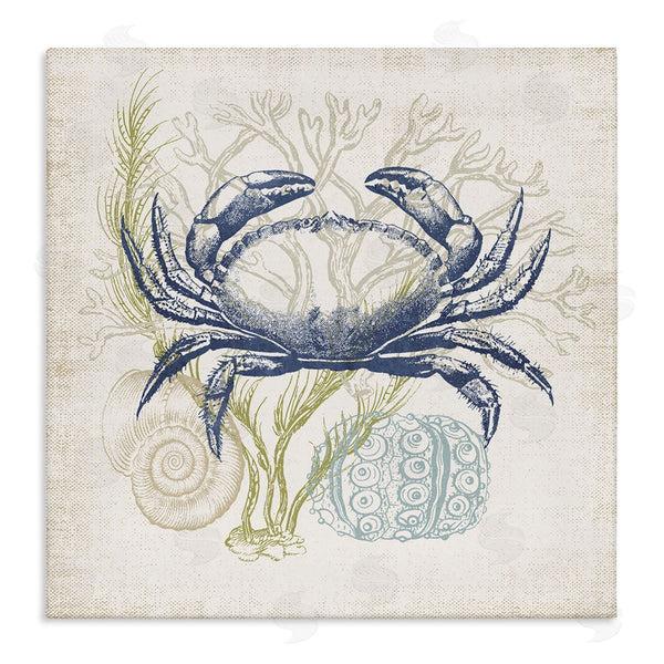stupell industries Victoria Barnes | Layered Sea Life Crab Marine Botanical Patterns Wall Art