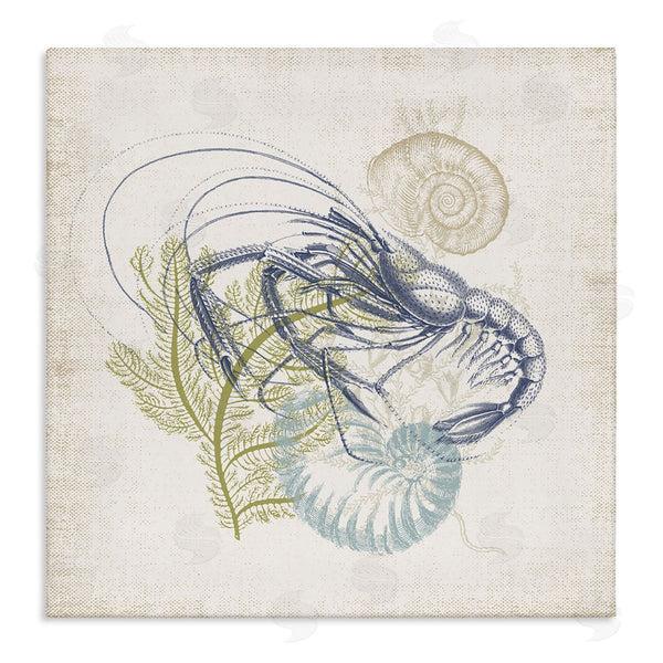 stupell industries Victoria Barnes | Nautical Layered Sea Life Crawdad Ocean Botanicals Wall Art