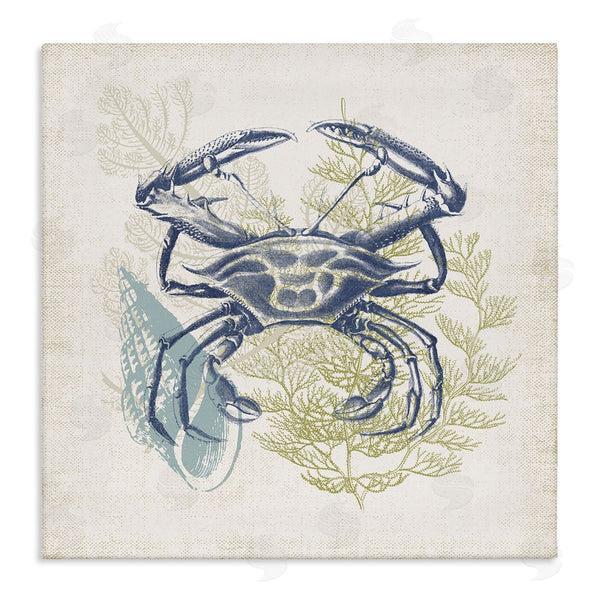 stupell industries Victoria Barnes | Ocean Crab Detailed Botanical Overlay Rustic Design Wall Art