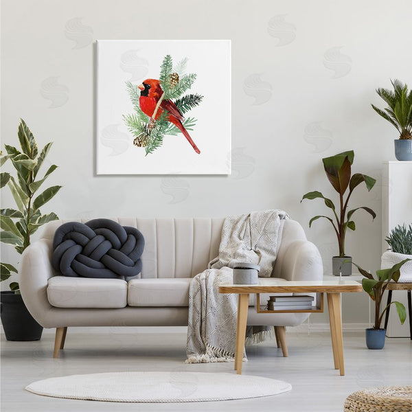 Stupell Industries Victoria Barnes | Red Cardinal Pine Branch Minimal Bird Portrait Wall Art