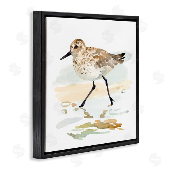 Stupell Industries Victoria Barnes | Sandpiper Stepping On Shore