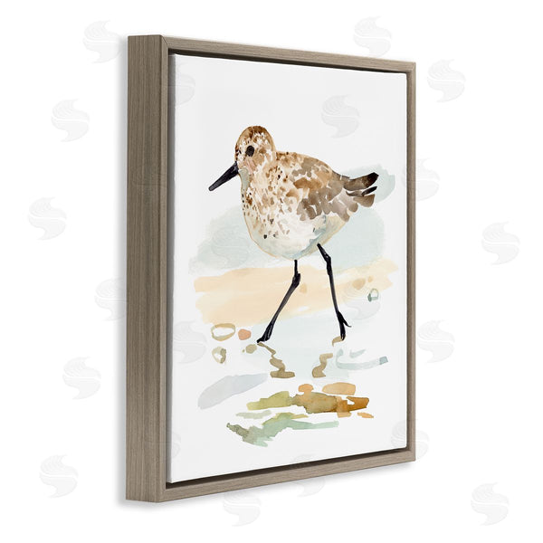Stupell Industries Victoria Barnes | Sandpiper Stepping On Shore