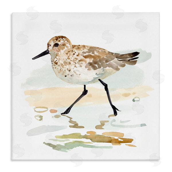 stupell industries Victoria Barnes | Sandpiper Stepping on Shore