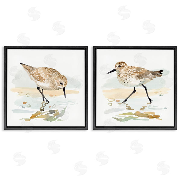 Stupell Industries Victoria Barnes | Sea Birds On Shore