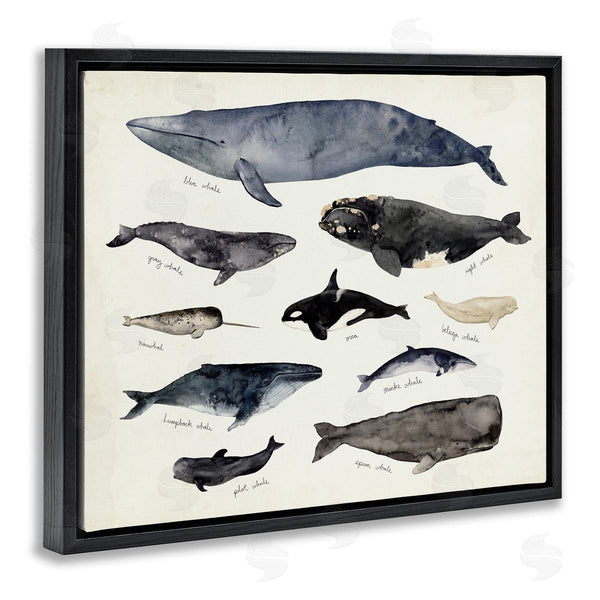 Stupell Industries Victoria Barnes | Vintage Nautical Chart Of Whales Ocean Life