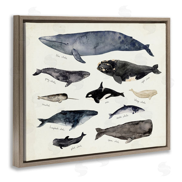 Stupell Industries Victoria Barnes | Vintage Nautical Chart Of Whales Ocean Life