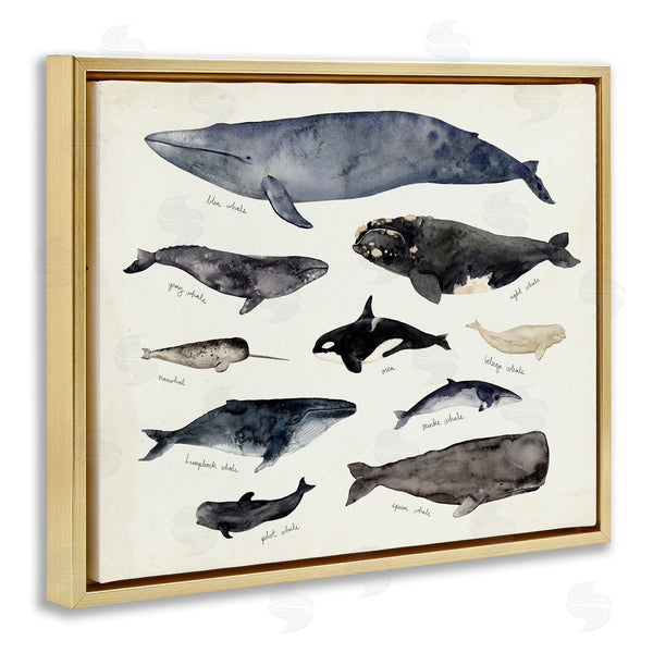 Stupell Industries Victoria Barnes | Vintage Nautical Chart Of Whales Ocean Life