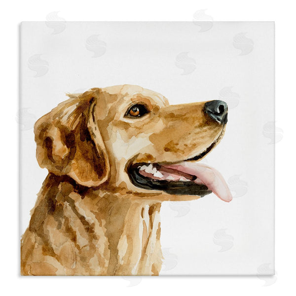 stupell industries Victoria Barnes | Watercolor Labrador Dog Portrait