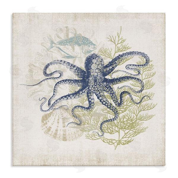 stupell industries Victoria Barnes | Weathered Sea Life Overlay Pattern Aquatic Octopus Wall Art