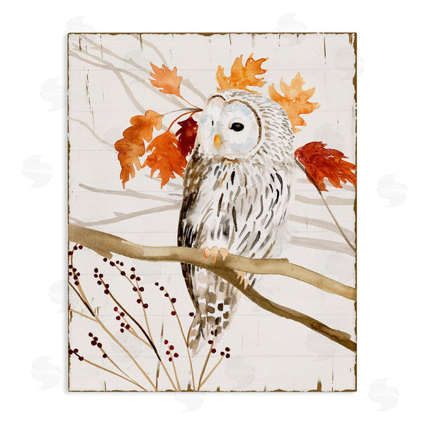 stupell industries Victoria Borges | Owl In Autumnal Forest
