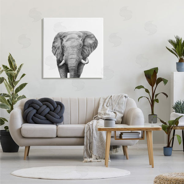 Stupell Industries Victoria Borges | Realistic Elephant Portrait Minimal Black White Wildlife Illustration Wall Art