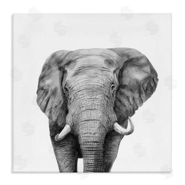 stupell industries Victoria Borges | Realistic Elephant Portrait Minimal Black White Wildlife Illustration Wall Art