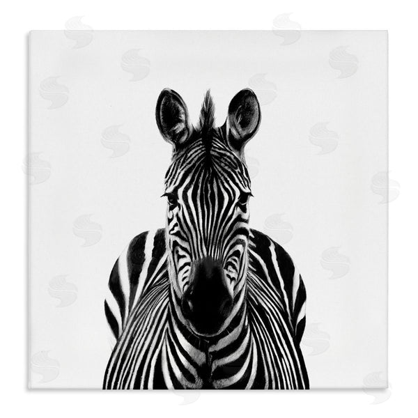 stupell industries Victoria Borges | Realistic Zebra Portrait Minimal Black White Wildlife Illustration Wall Art