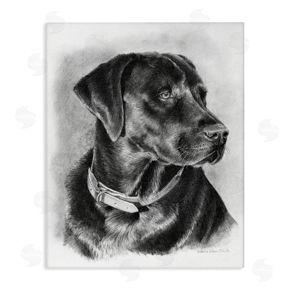 stupell industries Victoria Schultz | Black Lab Drawing