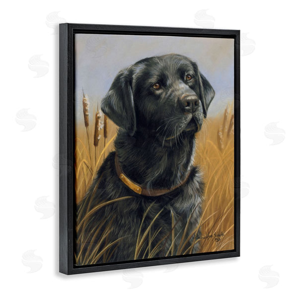 Stupell Industries Victoria Schultz | Black Lab In Nature Wall Art