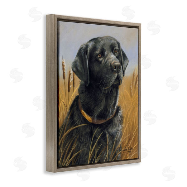 Stupell Industries Victoria Schultz | Black Lab In Nature Wall Art