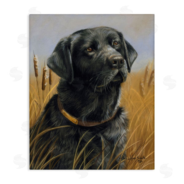 stupell industries Victoria Schultz | Black Lab in Nature Wall Art