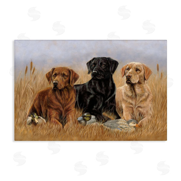 stupell industries Victoria Schultz | Dog Trio and Ducks