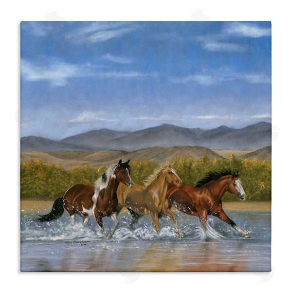 stupell industries Victoria Schultz | Splashing River Horses