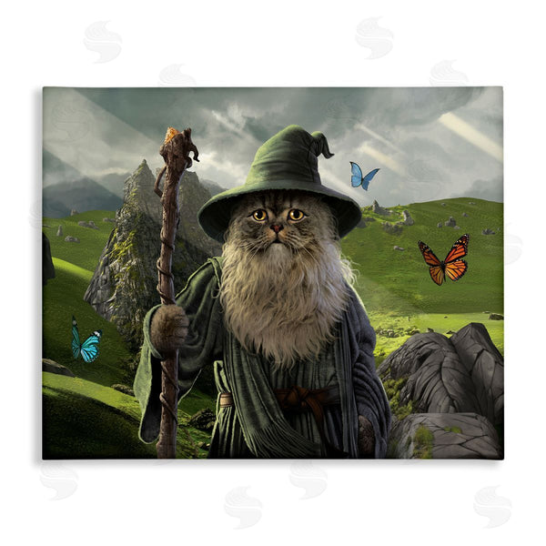 stupell industries Vincent Hie | Fantasy Wizard Scene Wall Art
