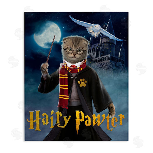 stupell industries Vincent Hie | Hairy Pawter Cat Wizard Wall Art