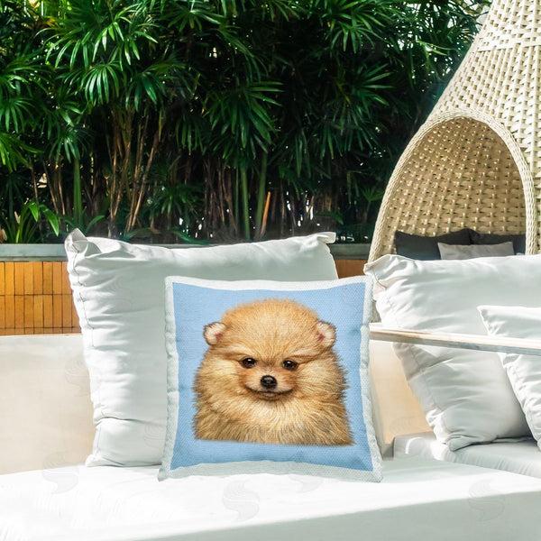 Stupell Industries Vincent Hie | Pomeranian Dog Face Printed Throw Pillow